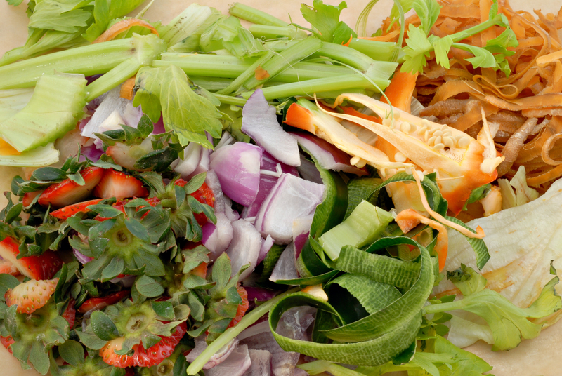 waste disposal junk removal